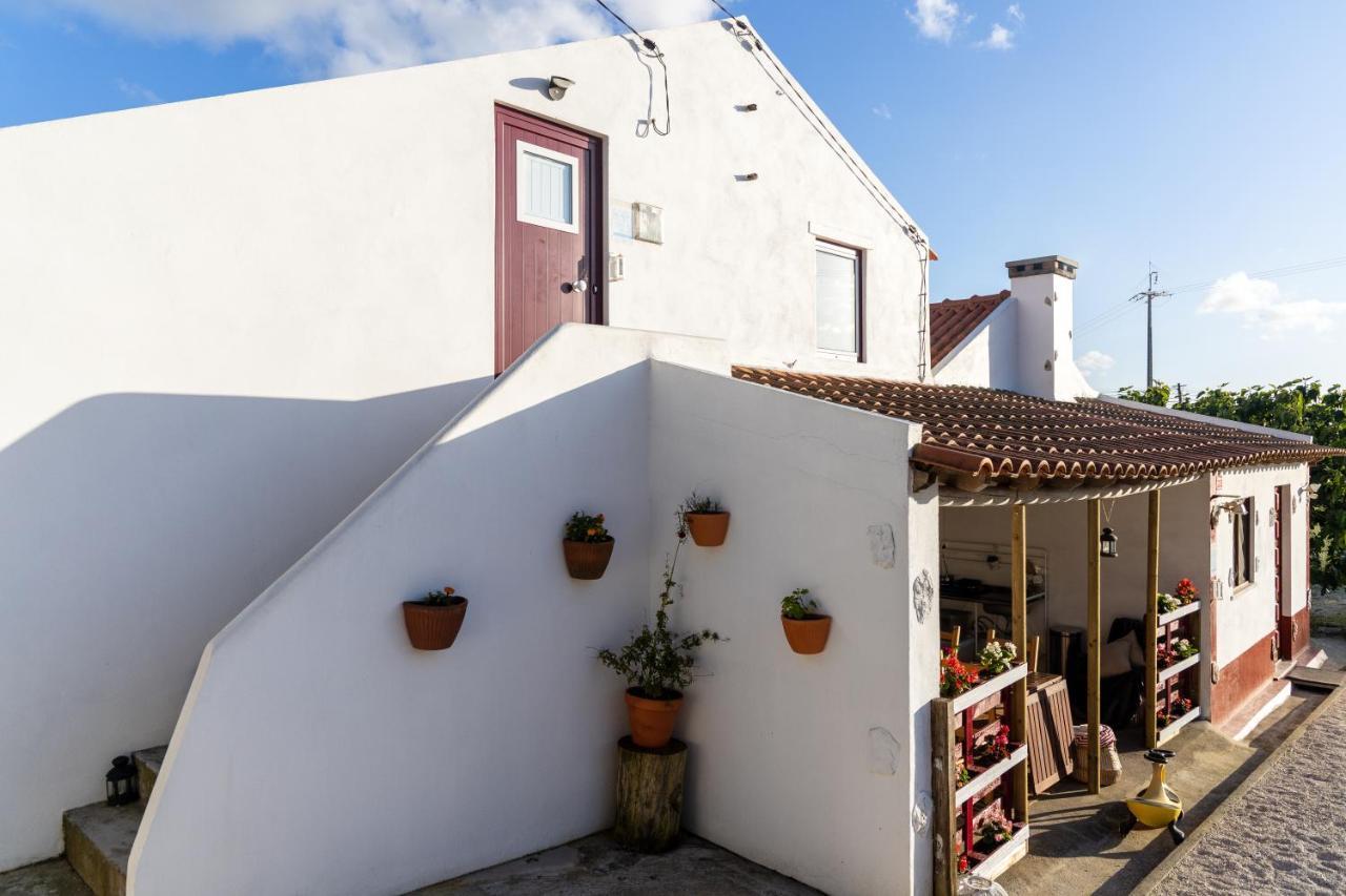 Avo Rosa Guesthouse São João da Ribeira Exterior photo