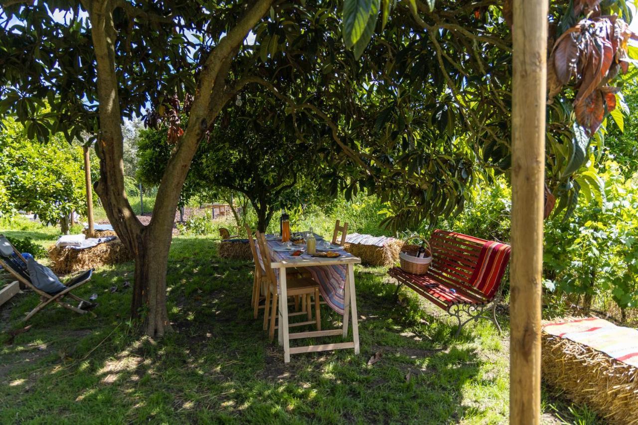 Avo Rosa Guesthouse São João da Ribeira Exterior photo